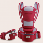 ErgoCarrier